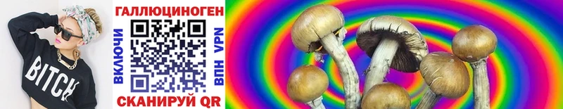 Галлюциногенные грибы Psilocybe  как найти   Тула 